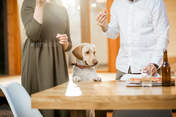 Dog eating with couple outdoors