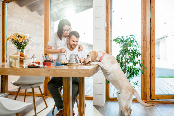 Couple having a breakfast with dog at home