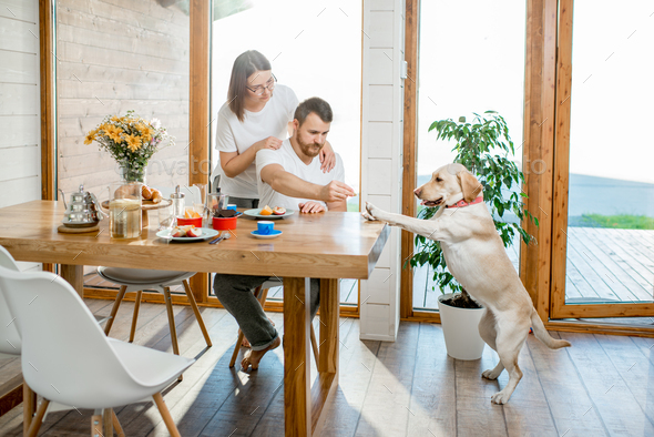 Couple having a breakfast with dog at home