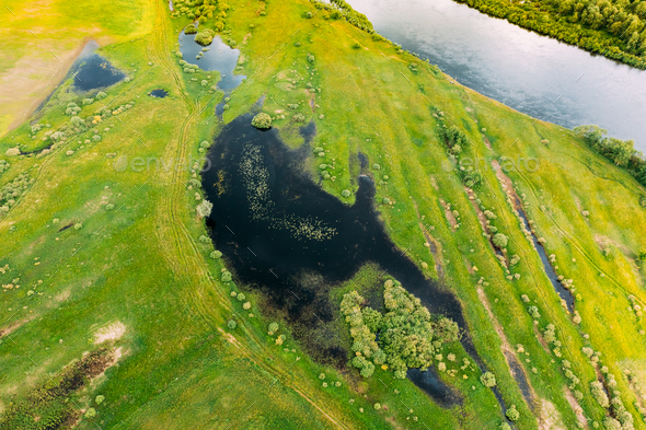 Aerial View. Green Meadow And River Marsh Landscape In Summer. Top View Of European Nature From High