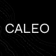 Caleo - Art Gallery WordPress Theme