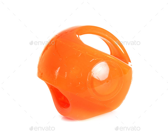 toy for dog - Stock Photo - Images