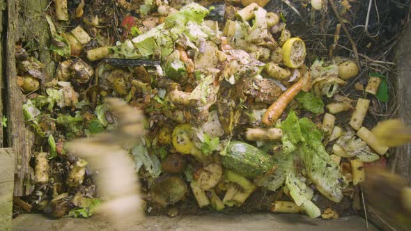 Organic food scraps dropped onto a compost heap in 60fps slow motion alt