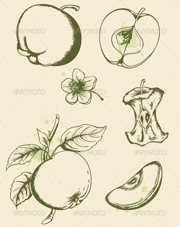 Vintage Apples - Food Objects