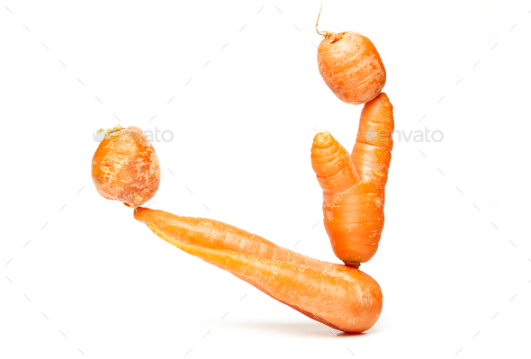 Fresh natural ugly raw carrots isolated on white background. Balancing carrots, healthy nutrition