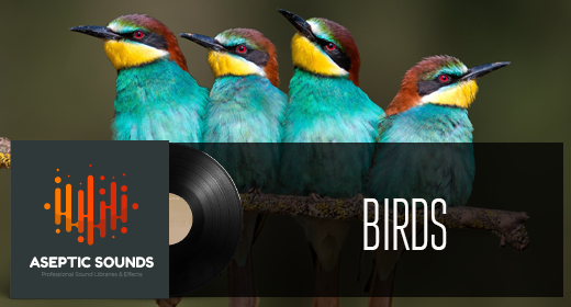 BIRDS FX