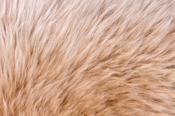 Fur texture top view. Brown fur background. Fur pattern. Texture of brown  shaggy fur. Wool texture. Flaffy sheepskin fur close up Stock Photo