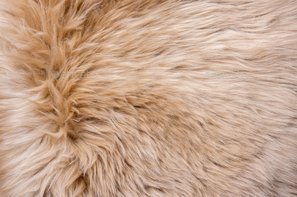 Fur texture top view. Brown fur background. Fur pattern. Texture of brown shaggy fur - Stock Photo - Images