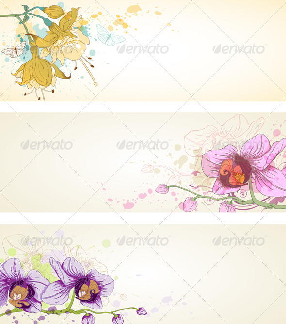Floral Banners with Orchids - Backgrounds Decorative