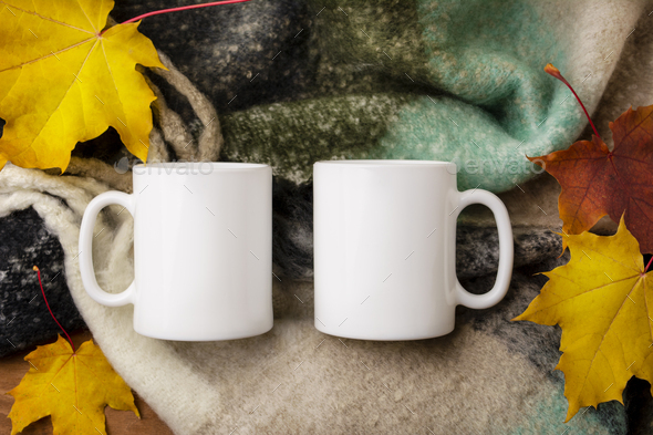Two white coffee mug mockup with woolen scarf and fall leaves - Stock Photo - Images