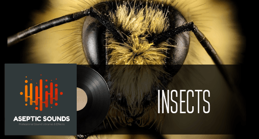 INSECTS FX