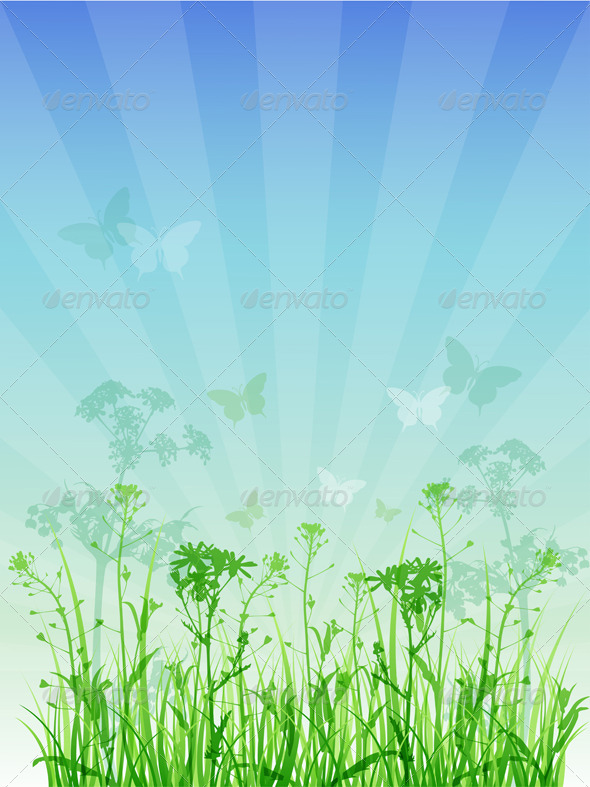 Summer Floral Background - Flowers & Plants Nature
