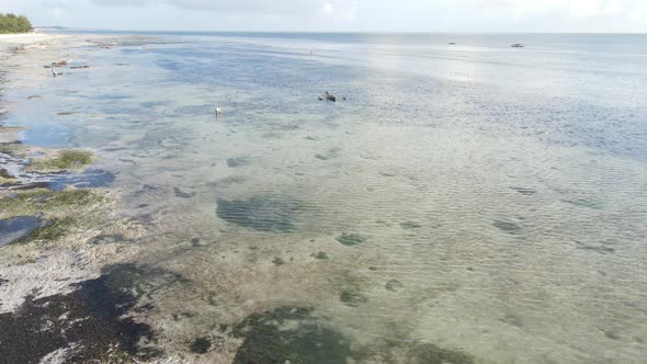 Zanzibar Tanzania  Aerial View of Low Tide in the Ocean Near the Coast alt