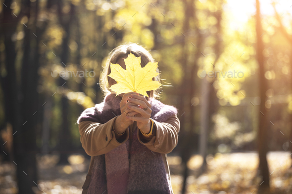 girl holds a yellow leaf - Stock Photo - Images