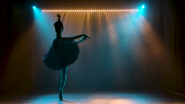 Silhouette of a Graceful Ballerina in a Chic Image of a Black Swan. Dancing of Elements Classical alt