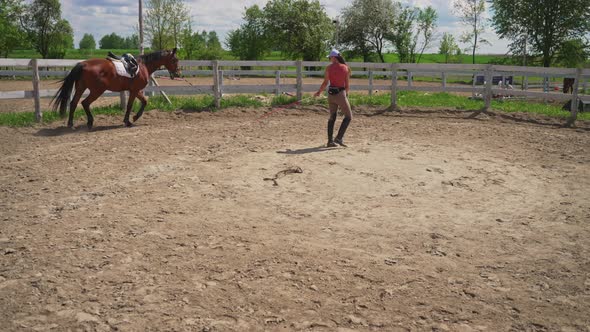 Female Jockey Lunge Training A Horse Holding Its Lead Rope In The Sandy Parkour alt