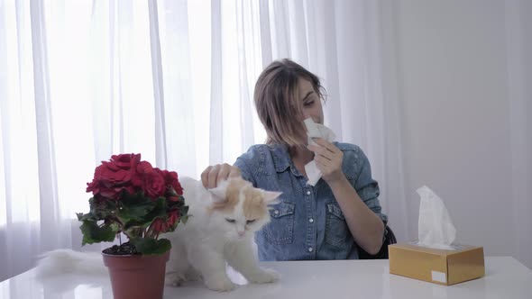Allergic To Animals, an Adult Girl Suffers and Sneezing From Respiratory Disease on Hair of Pet in alt