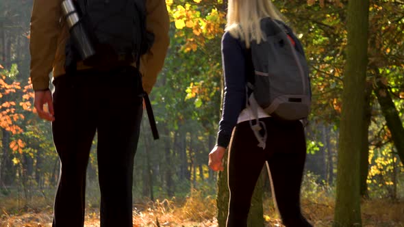 A Hiking Couple Walks Through a Forest on a Sunny Day - Rear View alt