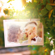 Wedding Photo Gallery -Autumn evening Garden - VideoHive Item for Sale