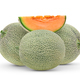 cantaloupe melon on white background - PhotoDune Item for Sale