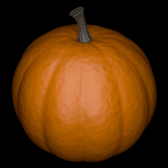 Pumpkin - 3Docean 3175622