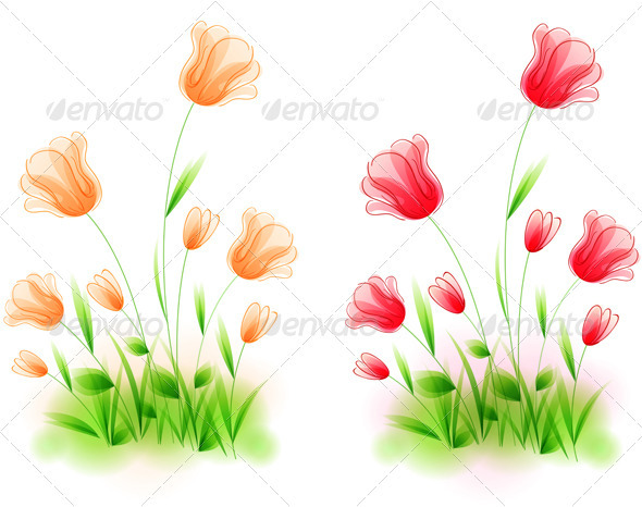Grass and Tulips - Flowers & Plants Nature