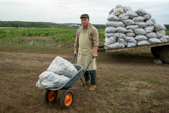 Mature Asian Farmer With Wheelbarrow - Stock Photo - Images