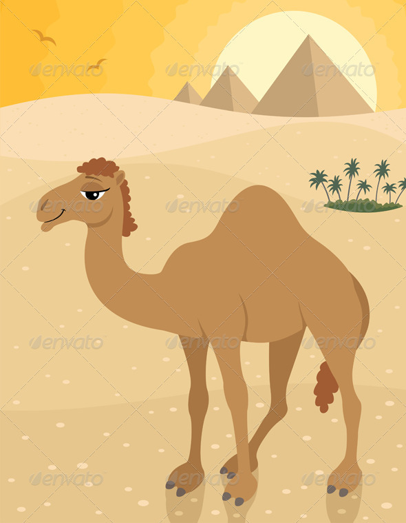 Camel - Animals Characters