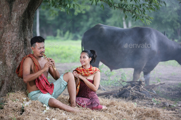 Couple Farmer and buffalo at the field in Thailand.