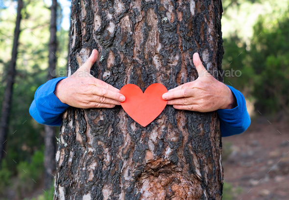 Senior woman in the woods hugs a tree trunk puts a heart shape on it. Earth day concept