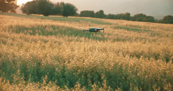 Futuristic drone flying over growing farm field during beautiful sunset in nature alt