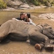 Couple kissing near elephant lying on the river - PhotoDune Item for Sale