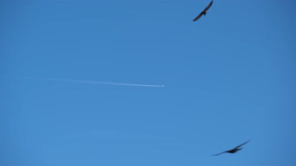 Distant Passenger Jet Plane Flying on High Altitude on Clear Blue Sky Leaving White Smoke Trace of alt