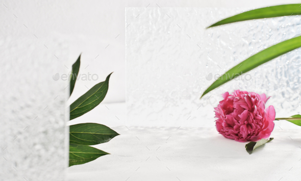 product placement scene for cosmetic or self care commercials. peony flower, green leaves