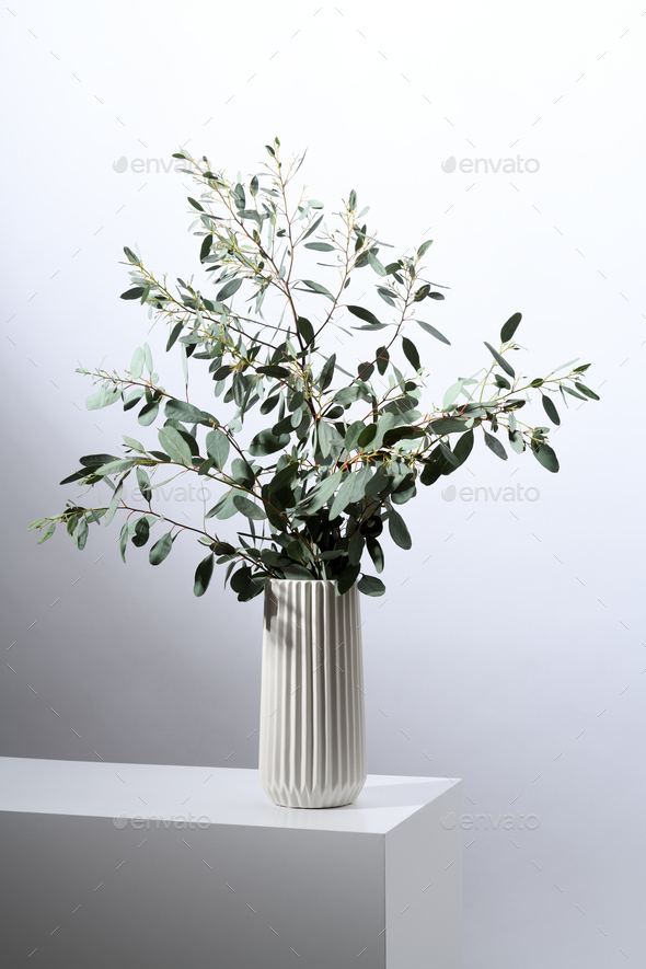 Vase with eucalyptus leaves Stock Photo by annakhomulo PhotoDune