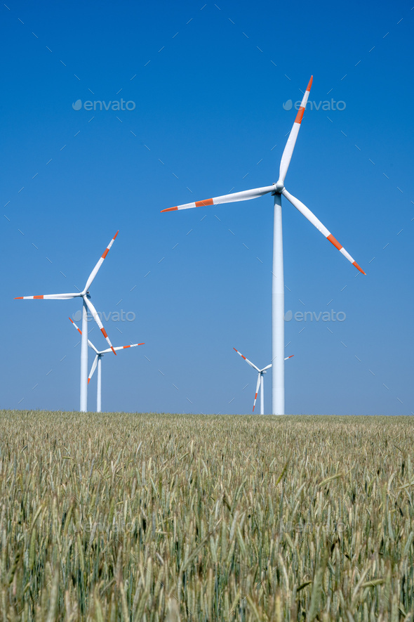 Wind energy turbines in a grainfield - Stock Photo - Images