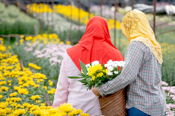 TThe back of two Muslim worker girls are collecting the flowers in garden during day time