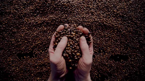 Man Hands Filled Coffee Beans Closeup alt