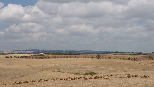 Adelaide Hills