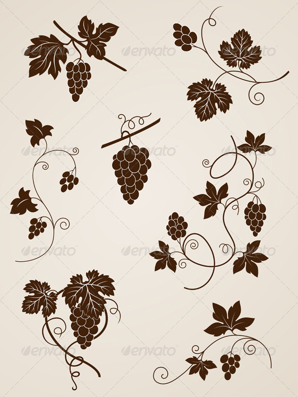 Grape Vine Design Elements - Flourishes / Swirls Decorative