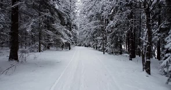 First Person View alt