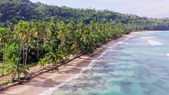 Idyllic island scene with azure water and palm trees on sandy beach; Caribbean alt