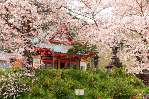 Kotokuji Temple, Shizuoka, Japan in Spring - Stock Photo - Images