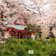 Kotokuji Temple, Shizuoka, Japan in Spring - PhotoDune Item for Sale