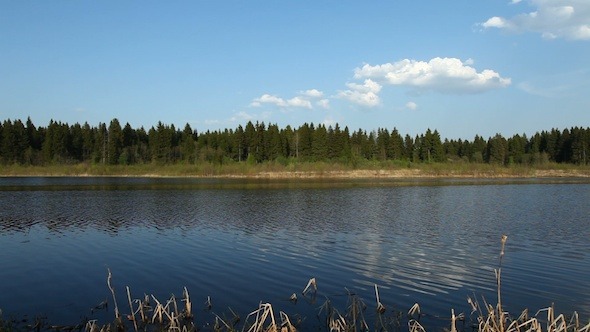 Coniferous Forest And River At Spring, Russia 2