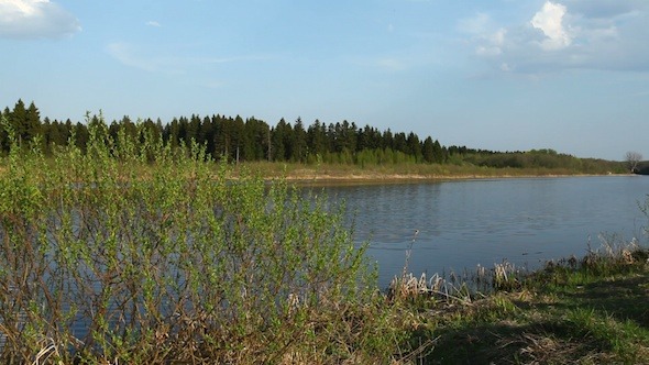 Coniferous Forest And River At Spring, Russia 3