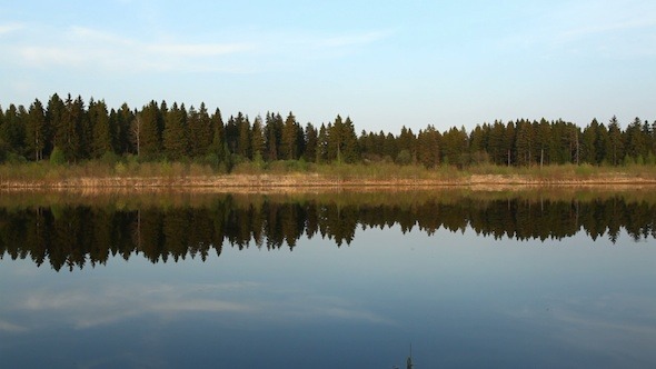 Reflections Of Pine Trees In Mirror Of Calm Water 2