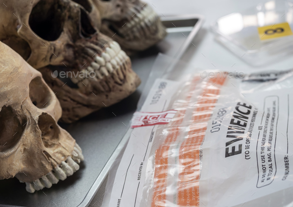 Evidence bag with human lskull in forensic lab murder investigation, conceptual image