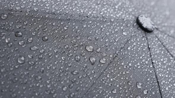 Tilting on  black protective umbrella surface weather forecast background slow-mo 1080p FullHD foota alt