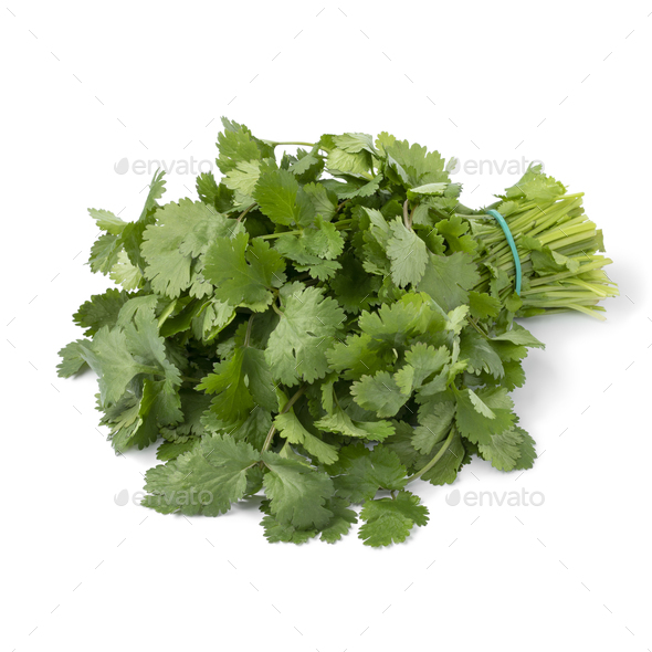 Bunch of fresh green coriander on white background - Stock Photo - Images